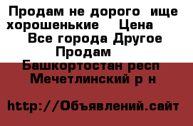 Продам не дорого ,ище хорошенькие  › Цена ­ 100 - Все города Другое » Продам   . Башкортостан респ.,Мечетлинский р-н